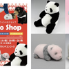 上野動物園公式「Tokyo Zoo Shop」出店＆ 「シャンシャン」写真展開催