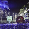 鴨川シーワールド、「シャチスペシャルパフォーマンス」などクリスマスイベントを開催