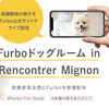 保護犬と愛犬家を繋ぐ「Furbo（ファーボ）ドッグルーム」プロジェクトがスタート