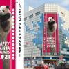 松坂屋上野店、上野動物園のパンダへのメッセージを募集