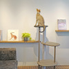 代官山 蔦屋書店、猫用木製家具「KARIMOKU CAT TREE」の限定カラーを発売
