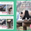シャオシャオ&レイレイや楓浜など、日本で会えるパンダが大集合した『パンダぴあ』刊行
