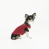 小型犬用ドッグウェアブランド「dytem」、初のポップアップショップを代官山にてオープン