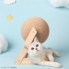 回転式猫用爪とぎ「バリたま」発売