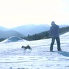 星野リゾート トマムに、今年も愛犬と一緒にスキー・スノーボードを楽しめる 「わんわんゲレンデ」がオープン