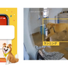 外出先から愛犬の走る・噛む・トイレがわかる、「Furbo ドッグシッター」に新機能…ベータ版公開