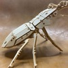 図鑑付き昆虫3Dウッドパズル「ポケットバグズ」に、ヘラクレスオオカブトやギラファノコギリクワガタなど世界最大級の虫たちが新登場