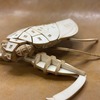 図鑑付き昆虫3Dウッドパズル「ポケットバグズ」に、ヘラクレスオオカブトやギラファノコギリクワガタなど世界最大級の虫たちが新登場