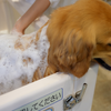 犬専用、シャワーヘッドから泡で出てくるシャンプーシステム発売