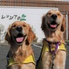 介助犬総合訓練センター前で笑顔を見せるキララろキース