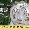 2022年の干支トラを間近で観察できる「初寅詣2022」を開催