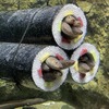 横浜・八景島シーパラダイスと仙台うみの杜水族館、節分にちなんだ「アナゴの恵方巻水槽」を展示