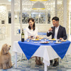 ENJOYスマイル賞：セラヴィリゾート泉郷より愛犬と宿泊可能な旅を思い切り楽しめるリゾートホテルの招待券を進呈