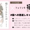 書籍『猫にひろわれた話』とフェリシモ猫部がコラボ、RT数×10円寄付キャンペーン開始