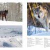 『WOLVES野生のハンターたち 世界のオオカミ写真集』