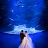 リーガロイヤルホテル京都、京都水族館で結婚式を挙げられるプランを発売