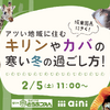 オンラインイベント「冬の旭山動物園をまるごとお届け！」開催