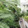 板橋区立熱帯環境植物館