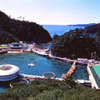 下田海中水族館「55周年記念企画」を実施