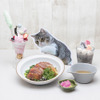 「世界で最も視聴された猫”もちまる”」のコラボカフェ、渋谷パルコにて開催
