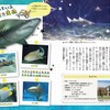 学研プラス「ゆるゆるサメ図鑑」