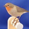 企画展「国立科学博物館 巡回展 ダーウィンを驚かせた鳥たち 日本の生物多様性とその保全」