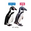 東武動物公園監修、「世界一むずかしい！？ フンボルトペンギンのカードゲーム」発売