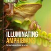 『Illuminating Amphibians: the amphibian trade in Japan（タイトル和訳：日本の両生類取引）』
