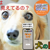 犬の視覚を疑似体験できるスマホアプリ「犬の目カメラ」Android版リリース