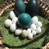 エミューの卵は濃緑色で大きい