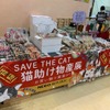 岐阜県の河川環境楽園オアシスパークで大規模な保護猫譲渡会を初開催