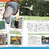 掛川花鳥園では怪鳥たちを間近で見られる