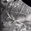 富士フイルム、「100年前にカワセミを撮った男・下村兼史－日本最初の野鳥生態写真家－」を開催