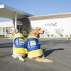 日本介助犬協会、WEBにて介助犬教室を開催