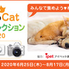 キヤノン、「Dog＆Cat サマーコレクション2020 ～みんなで集めようわんにゃん写真～」を開催