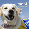 日本介助犬協会、「モンベルクラブ・フレンドフェア・オンライン2020」に出展