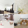 「愛犬家住宅」千葉県白井市にオープン
