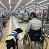 盲導犬や聴導犬同様に多くの施設に同伴が認められている