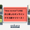 enkara、犬と一緒に「おうち時間」を楽しむオンラインクラスを続々とリリース