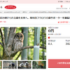 さとふる、大阪府岸和田市「フクロウの森再生プロジェクト」のため寄付受付を開始
