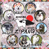 日本犬の祭典ZIPANG2020