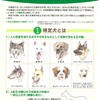茨城県の「特定犬」に関するパンフレット１
