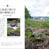 誠文堂新光社、「日本の爬虫類・両生類 野外観察図鑑」を刊行