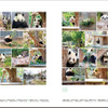 フェリシモ、写真集「神戸市立王子動物園のシャイなパンダ タンタン」の予約受付開始
