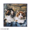 フェリシモ、西洋絵画をプリントした「アートハンカチコレクション〈猫〉」を販売