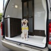レクビィ、キャンピングカー販売で介助犬育成を支援