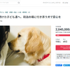 日本介助犬協会、新たな取組み“付添犬”の活動のためクラウドファンディングを開始