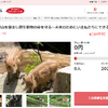 さとふる、岐阜県七宗町の「里山を保全し野生動物の命を守る」事業のため寄付受付を開始