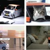 猫用日産軽自動車「にゃっさんデイズ」のWEBムービー＆メイキングムービー公開
