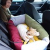 一体型ドッグカートを利用する場合は、愛犬の安全な乗車のために後席用ドッグベッドなどを用意